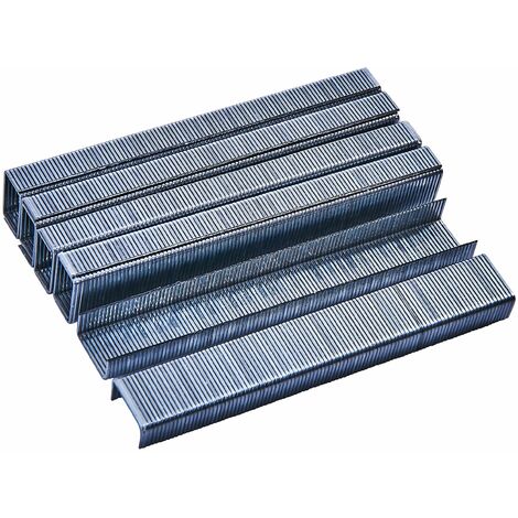 1000pc 6mm Staples - B3771 (1/4)