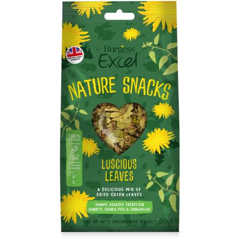 Burgess Excel Luscious Leaves 60g - PK 6 - 269571 (1/4)