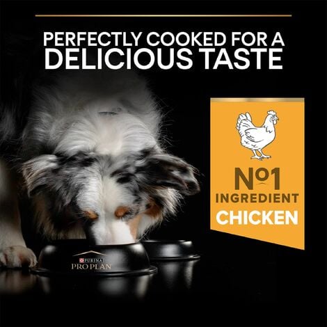 Pro Plan Dog Medium Adult Chicken & Rice 14kg - 10727