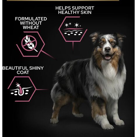 Pro Plan Dog Adult Medium Skin - 14kg - 196720
