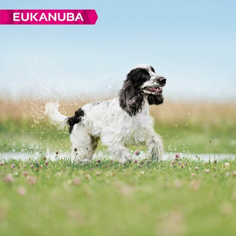 Eukanuba thriving clearance mature