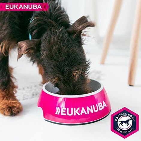 Eukanuba thriving hotsell mature small breed