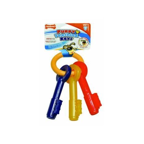 Dog best sale chew keys