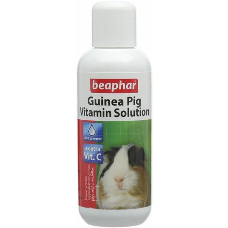 Image showcasing Beaphar Multi Vitamin Solution For Guinea Pigs 100ml - 22080