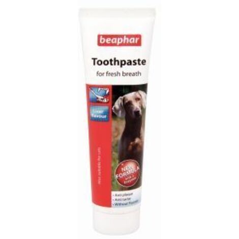 Beaphar Toothpaste 100g - PK 1 - 24483
