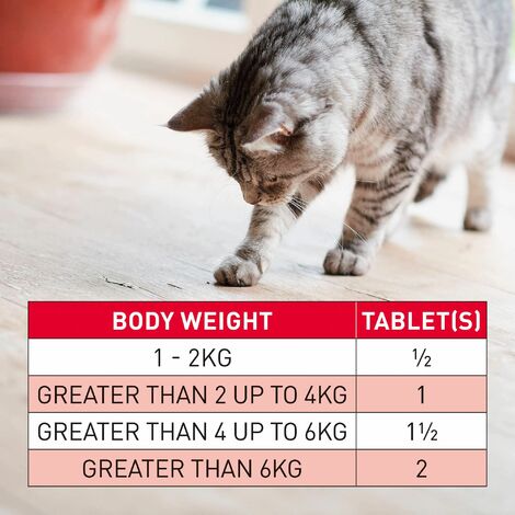 Beaphar WORMclear Cat for Cats up to 6kg (2Tabs) - 219141