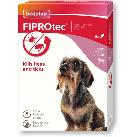 Beaphar Fiprotec Spot On Small Dog (6 Pipettes) - 260701
