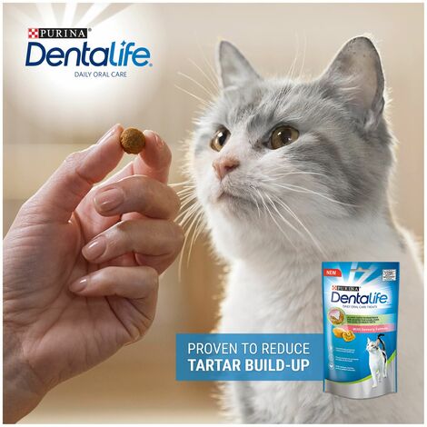 Dentalife Cat Salmon - 40g - 610688