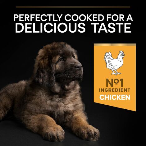 Pro Plan Large Robust Puppy Chicken & Rice  12kg - 10723