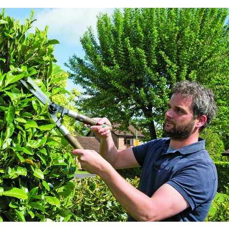 Draper Garden Shears with Straight Edges and Ash Handles (230mm) (36791)