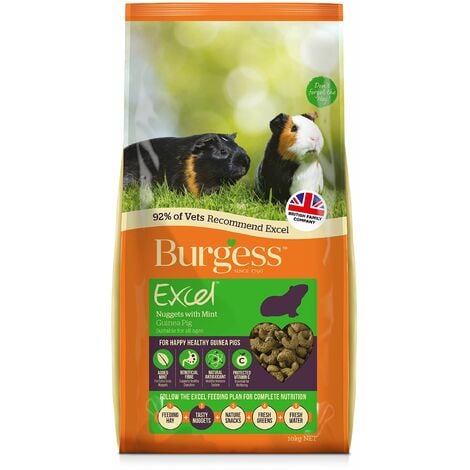 Burgess excel nuggets with hotsell mint guinea pig 10kg