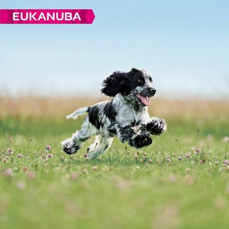 Eukanuba growing puppy clearance medium