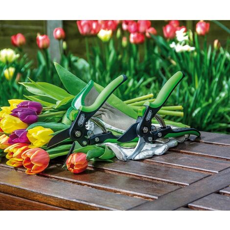 Anvil Pattern Secateur, 200mm (94983)