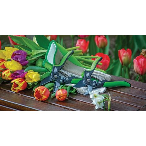 Anvil Pattern Secateur, 200mm (94983)
