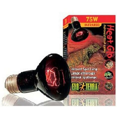 Exo terra shop heat lamp