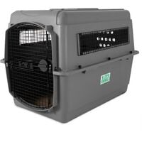 petmate xl wire dog crate