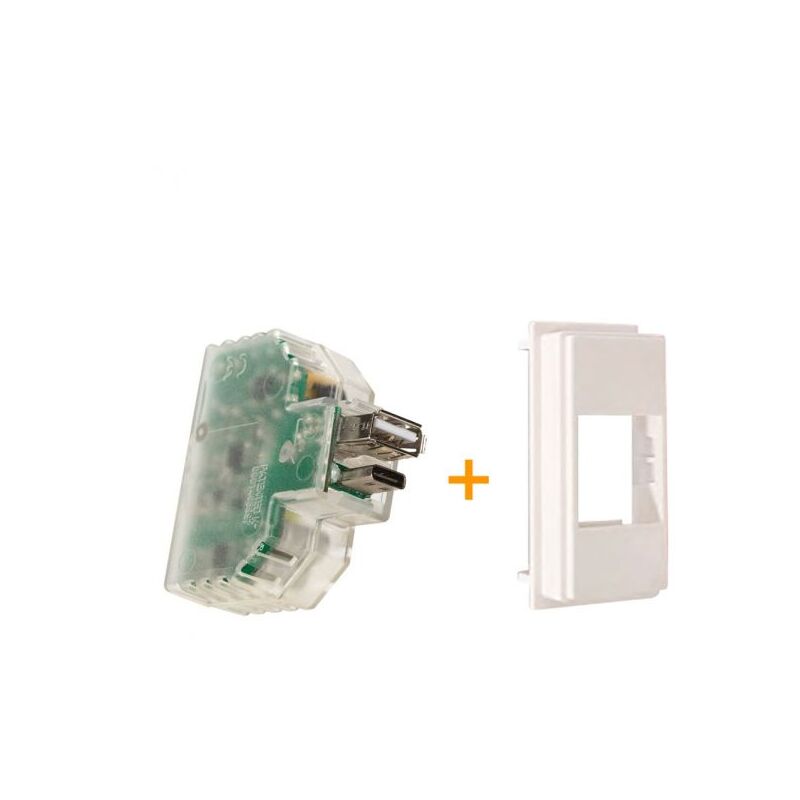 Fanton caricatore caricatutto USB A+C compatibile Bticino living NOW ...