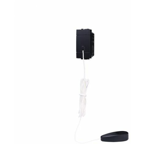 Ettroit serie Space Modulo pulsante tirante nero 10A compatibile BTicino Living International - LN1101