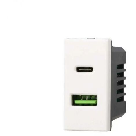 Ettroit Caricatore doppia USB 2IN1 Type-A + Type-C compatibile Bticino Axolute 5Vdc 3.1A bianco - AB3002