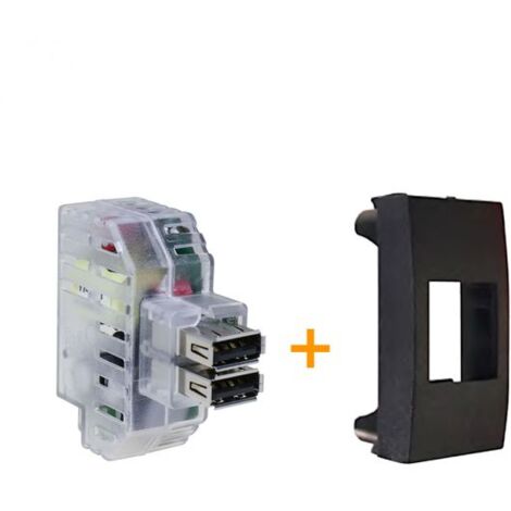 Fanton Caricatore Doppia Presa USB A 5V 2,4A Compatibile Bticino Living International 82893 Li 59643867