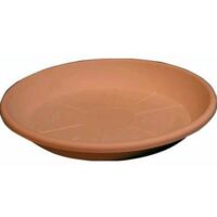 PIATTO ECOSIMILCOTTO D.35 COCCIO SET 5 PEZZI- ARCA