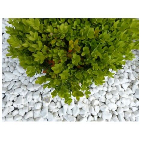 Galet Blanc Brillant 12-24 Pack de 10 M² - 20 sacs - 400 kg