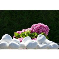 Galet Blanc Brillant 60-100 - Pack de 50 sacs - 1000 kg