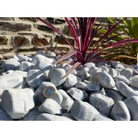 Classgarden – Galet décoratif gris clair 40-60 mm – Sac de 20 Kg – Pour parterres modernes et massifs fleuris – Couleur pailletée esthétique