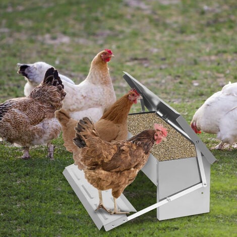 Hengda Futterautomat Hühner 5kg - Hühner Futterspender aus Verzinkter Stahl  für Geflügel, wasserdicht und rattensicher