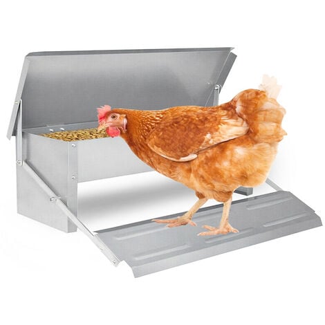 Tränkenwärmer Vergleich  Tränkenheizung für Hühner & Geflügel