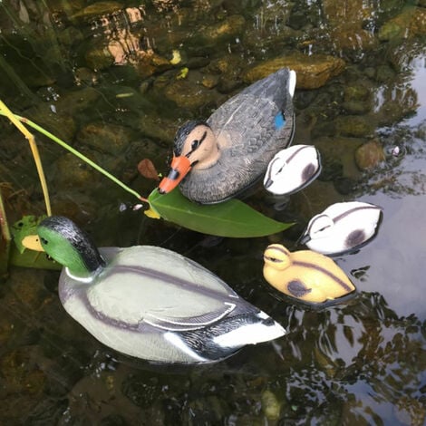 Teichenten für Gartenteich Entenfamilie Schwimmente für Teich