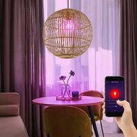 Decken Hänge Lampe App Sprach Steuerung Feder Pendel Leuchte im Set inkl.  Smart Home RGB LED Leuchtmittel