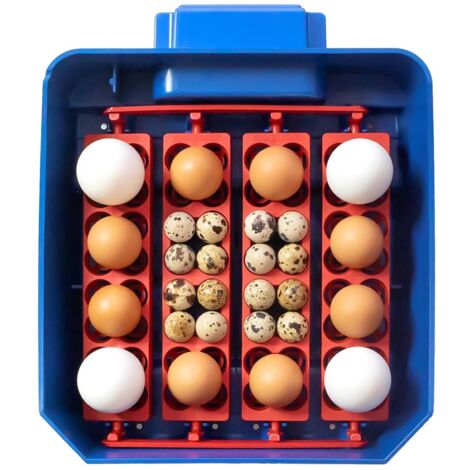 Incubatrice per uova automatica con Biomaster 16 uova