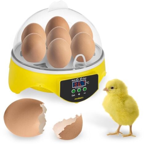 Incubatrice per uova Vassoio per girauova Incubatrice per pollo da cova