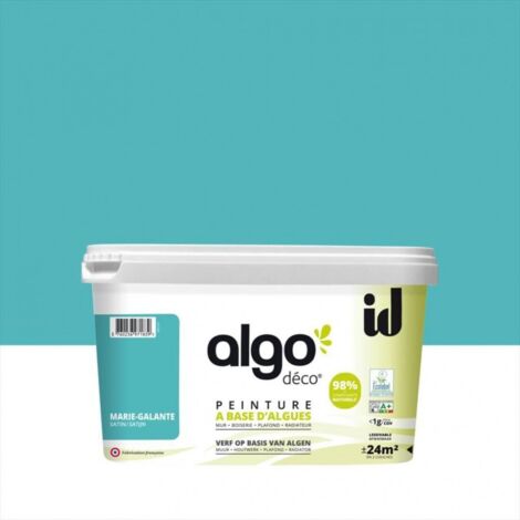Peinture écologique Algo - Gris Anthracite - 0.5L / Satin (1/5)