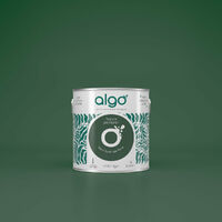 Peinture écologique Algo - Vert forêt de Pins - 2L / Velours