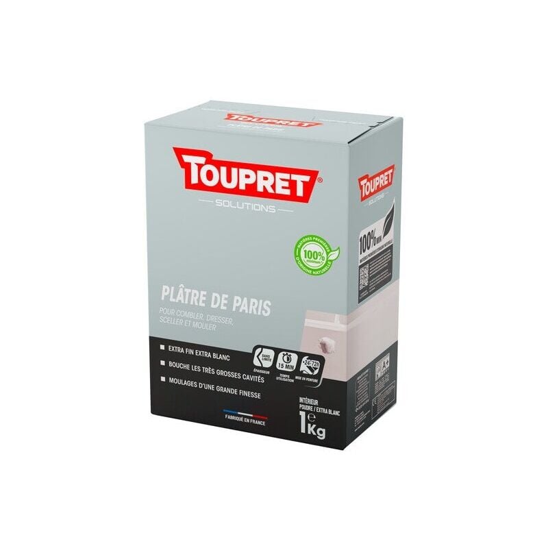 TOUPRET Plâtre de Paris en poudre pour mur / plafond intérieur, TOUPRET, 1 kg