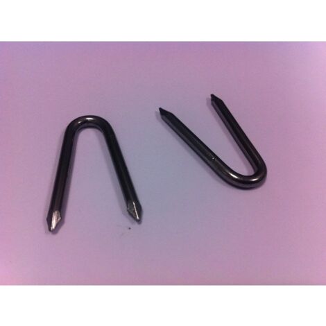 Paquet Cavatorta 1 kg de clous A  agrafes en acier Clou 2,5x30 mm 2 points