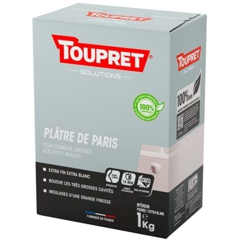 TOUPRET Plâtre de Paris en poudre pour mur / plafond intérieur, TOUPRET, 1 kg