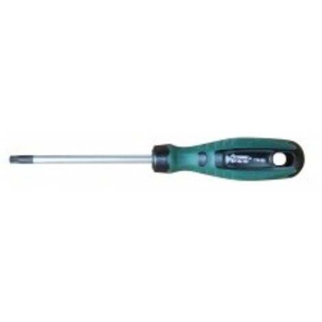 OUTIFRANCE Tournevis Torx Tamper T45 100 mm (1/2)