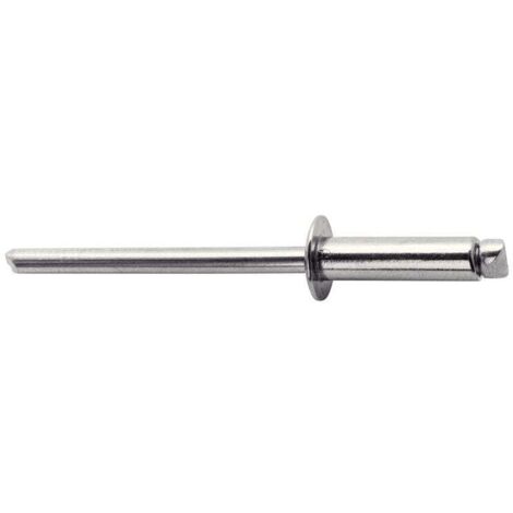 Lot De 50 Rivets Acier Inoxydable Diam.4.8 X H.25 Mm Avec Forêt
