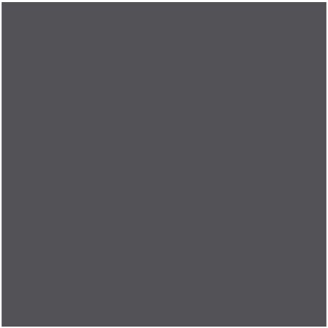 SYNTILOR Peinture meuble et boiserie Rénov' SYNTILOR gris design mat 250 ml