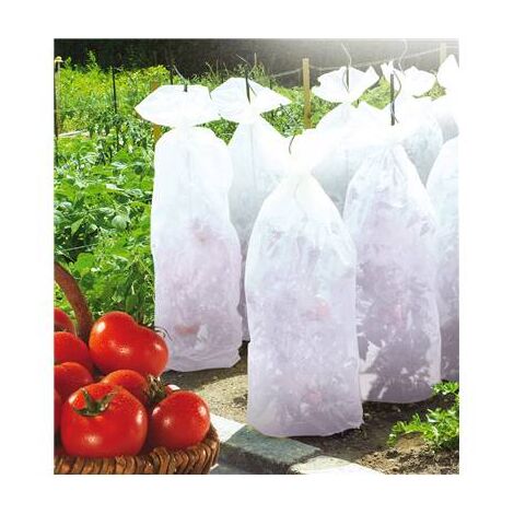 Nortene – Gaine de croissance tomate 0,6x10m – Voile non-tissé pour protection climatique – Surface couverte 6 m² – Installation facile (1/2)