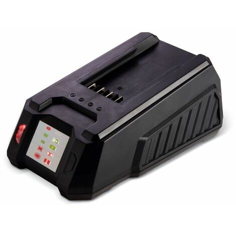 WARRIOR ECO POWER EQUIPMENT Chargeur de batterie lithium-ion 40V
