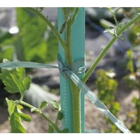 NORTENE Raphia synthétique prédécoupé - Vert - 0,5m 200g (1/2)