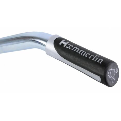 HAEMMERLIN Brouette Expert 100L tout galva roue gonflée