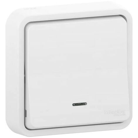 SCHNEIDER ELECTRIC Poussoir étanche lumineux encastrable Mureva Styl, en ABS Blanc
