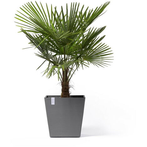 Pot Carré Rotterdam 50 Gris - 50 X 50 X H. 44 Cm - 75 L Ecopots 670e40d63c0b75e74f3d9b81