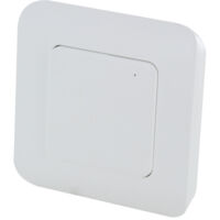 Interrupteur connecté sans fil 433 MHz – Compatible avec DiO Hub – Usage intérieur – Interrupteur on-auto – PVC blanc