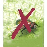 Filet anti-insectes "Biocontrol" 3,30 x 10